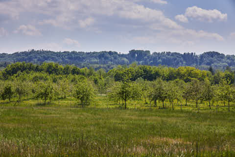 Gemeinde Burgkirchen Landkreis Altötting Obstbäume Westenthanner Brennerei (Dirschl Johann) Deutschland AÖ